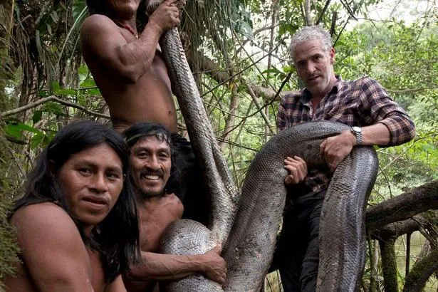 Cobras da Amazônia – ACA – Associação Comercial do as