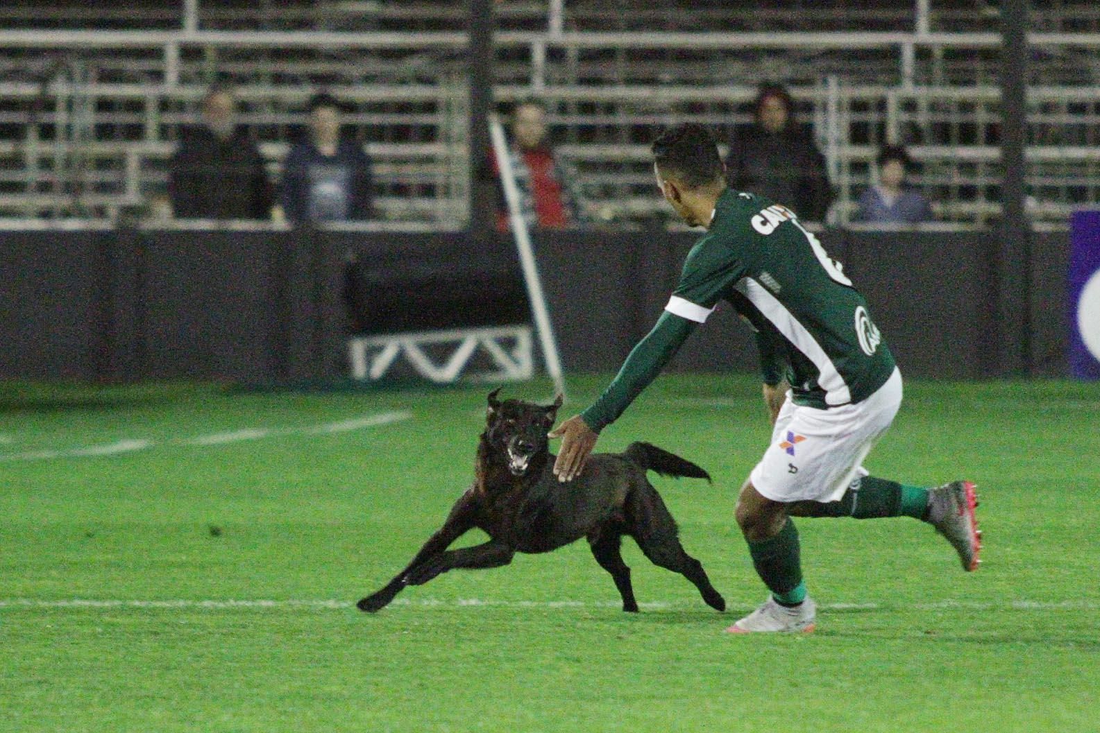 Wesley tentando drible contra o Bahia