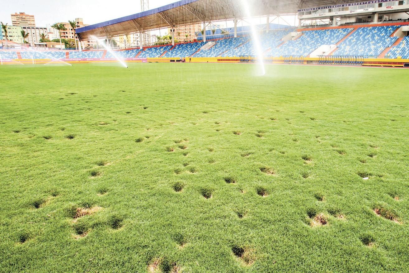 Gramado do Estádio Olímpico Regional foi revitalizado pelo FC