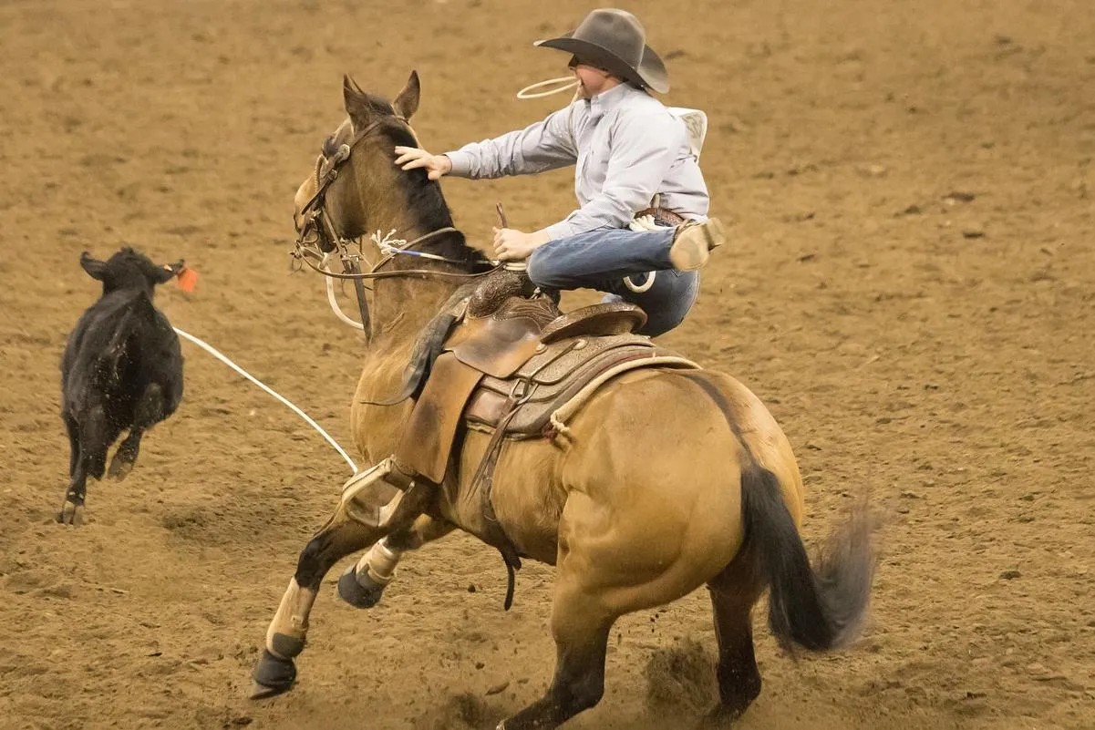 Peão de rodeio é pisoteado por touro de 800 kg e morre :: Notícias