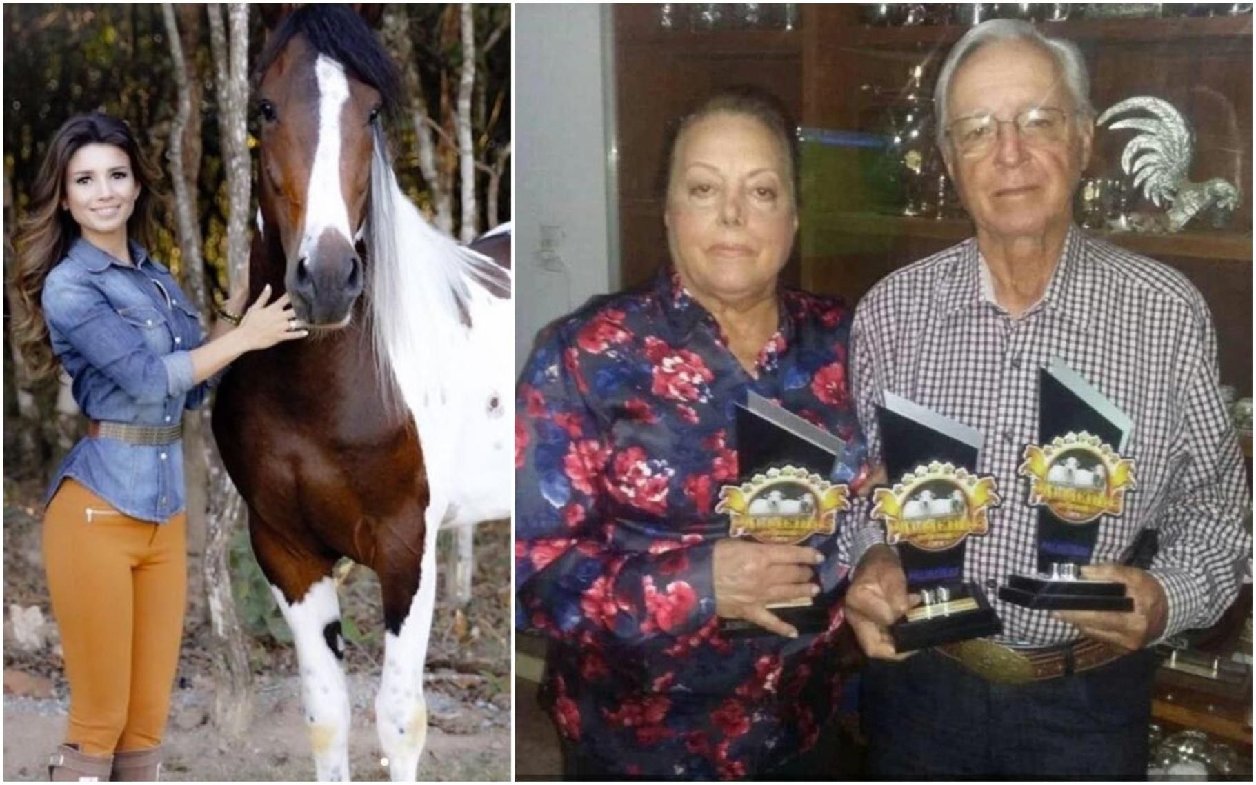 Dois homens são presos suspeitos de matar cavalos para vender a