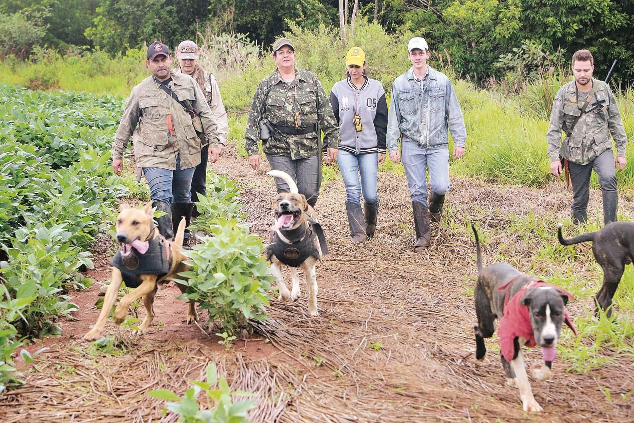 Curso de espanhol - De Mala e Dog