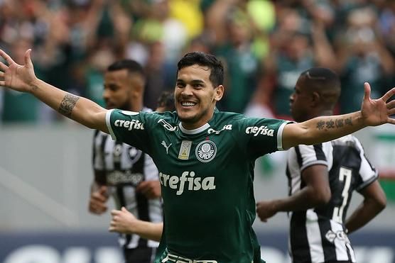 Veiga ressalta boa fase do Palmeiras para fazer sua