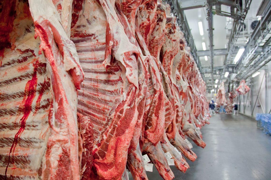 Brasil exporta carne de cavalo