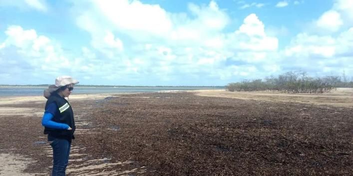 Por que banhistas atolam na areia do alargamento de Balneário