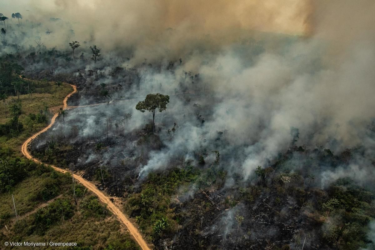 Incêndio de grandes proporções atinge reserva ambiental, em