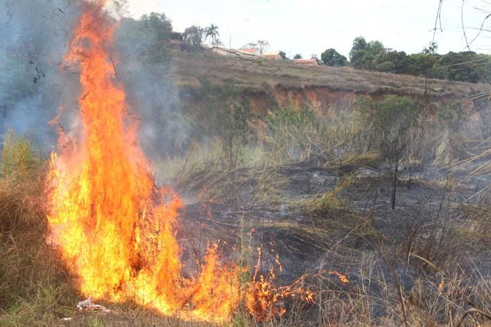 Queima de incêndio à noite, fogo na floresta, Vetor Grátis em 2023