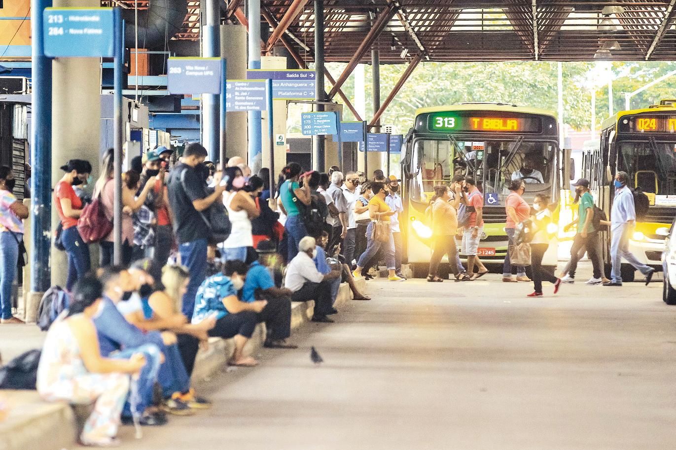 Como chegar até Cidade Livre em Aparecida De Goiânia de Ônibus?