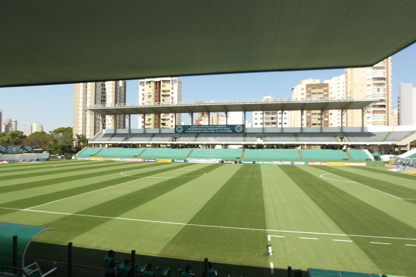 Vamos ao estádio? Brasileirão Feminino e Série D movimentam DF