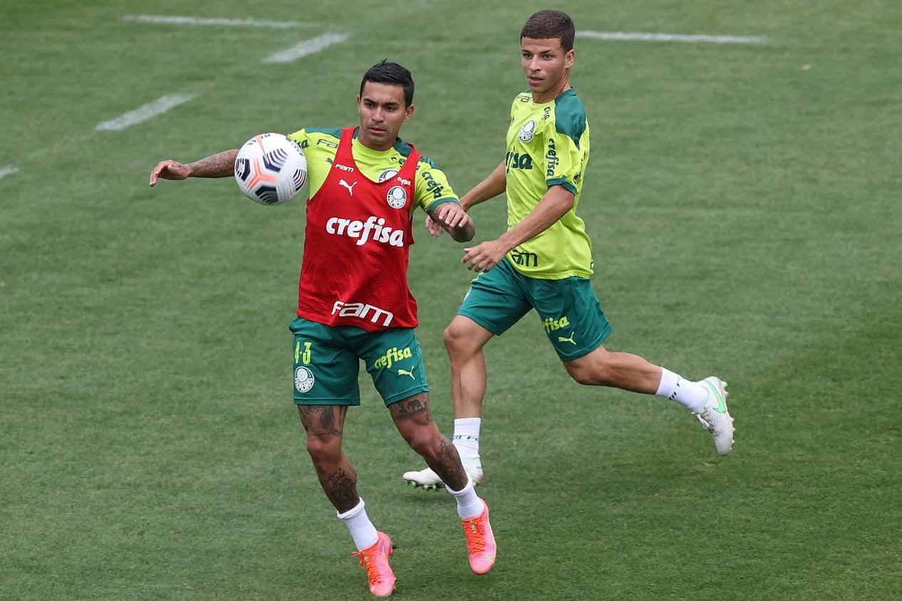 Abel leva Palmeiras às meias-finais da Libertadores pelo quarto