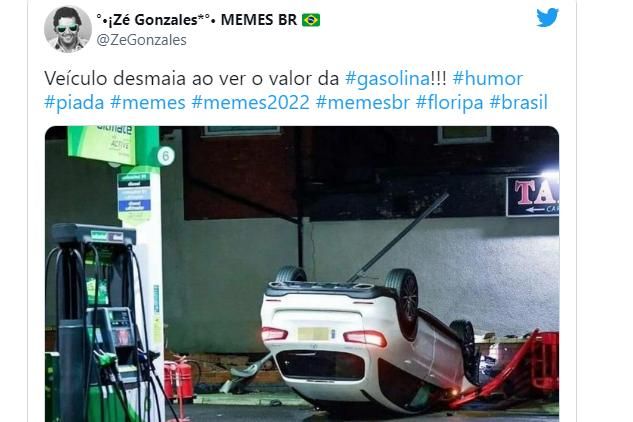 Cobra Naja de Brasília vira a queridinha da internet brasileira: veja os  melhores memes