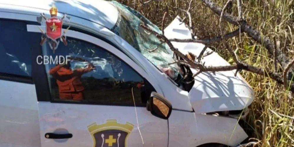 Carro de funerária bate de frente com ônibus e mata motorista em rodovia de  Goiás, Goiás