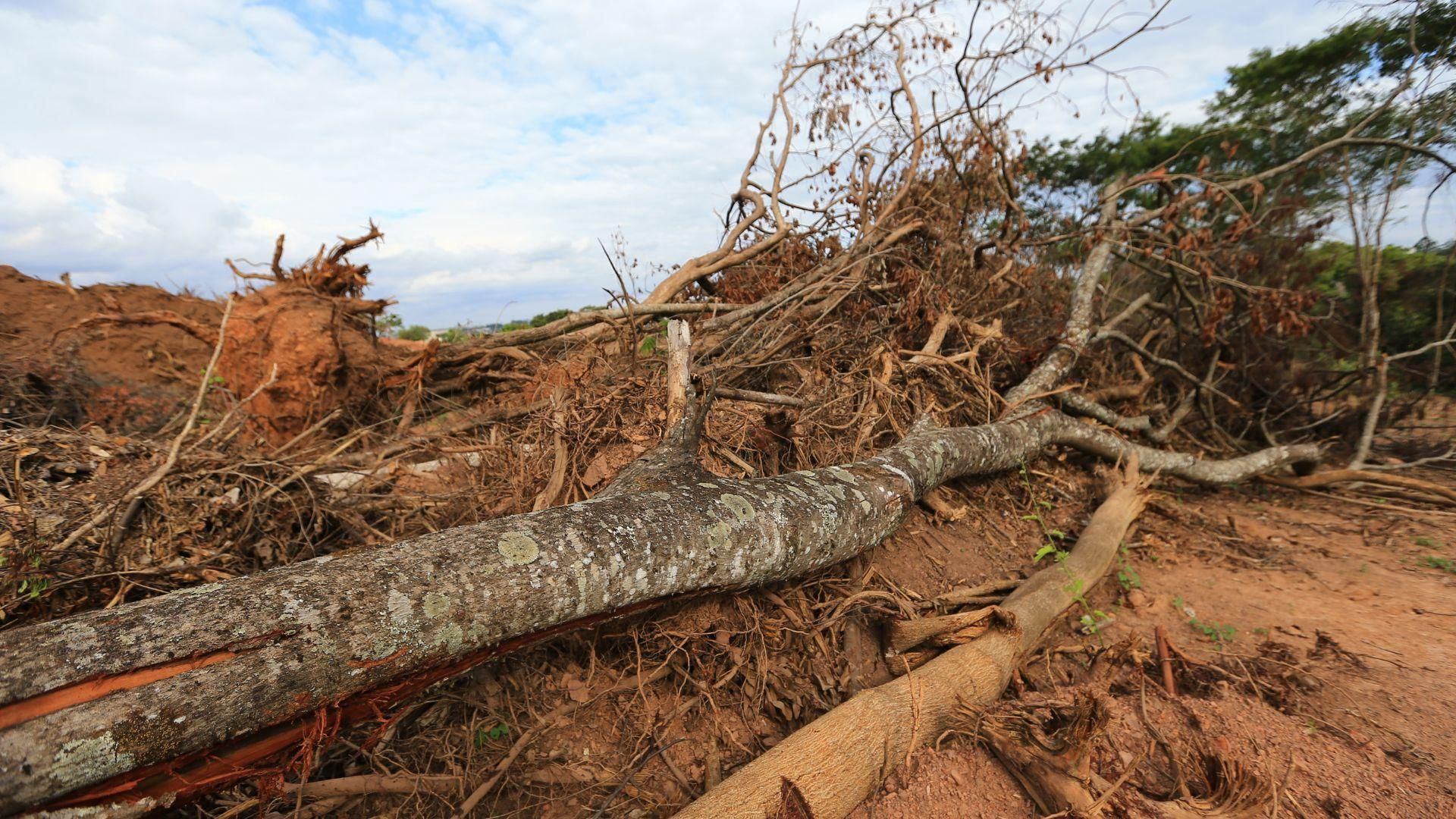 DF emite alerta para queimadas até o fim do período de seca na