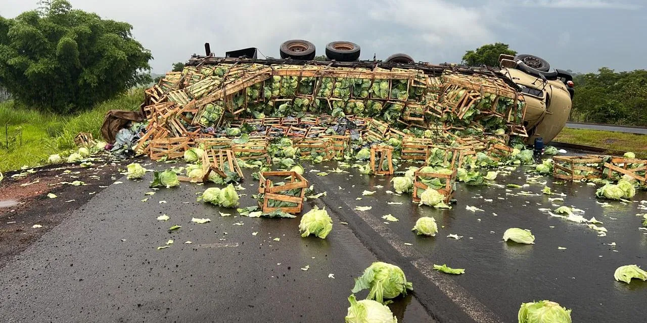 Carro de funerária bate de frente com ônibus e mata motorista em rodovia de  Goiás, Goiás