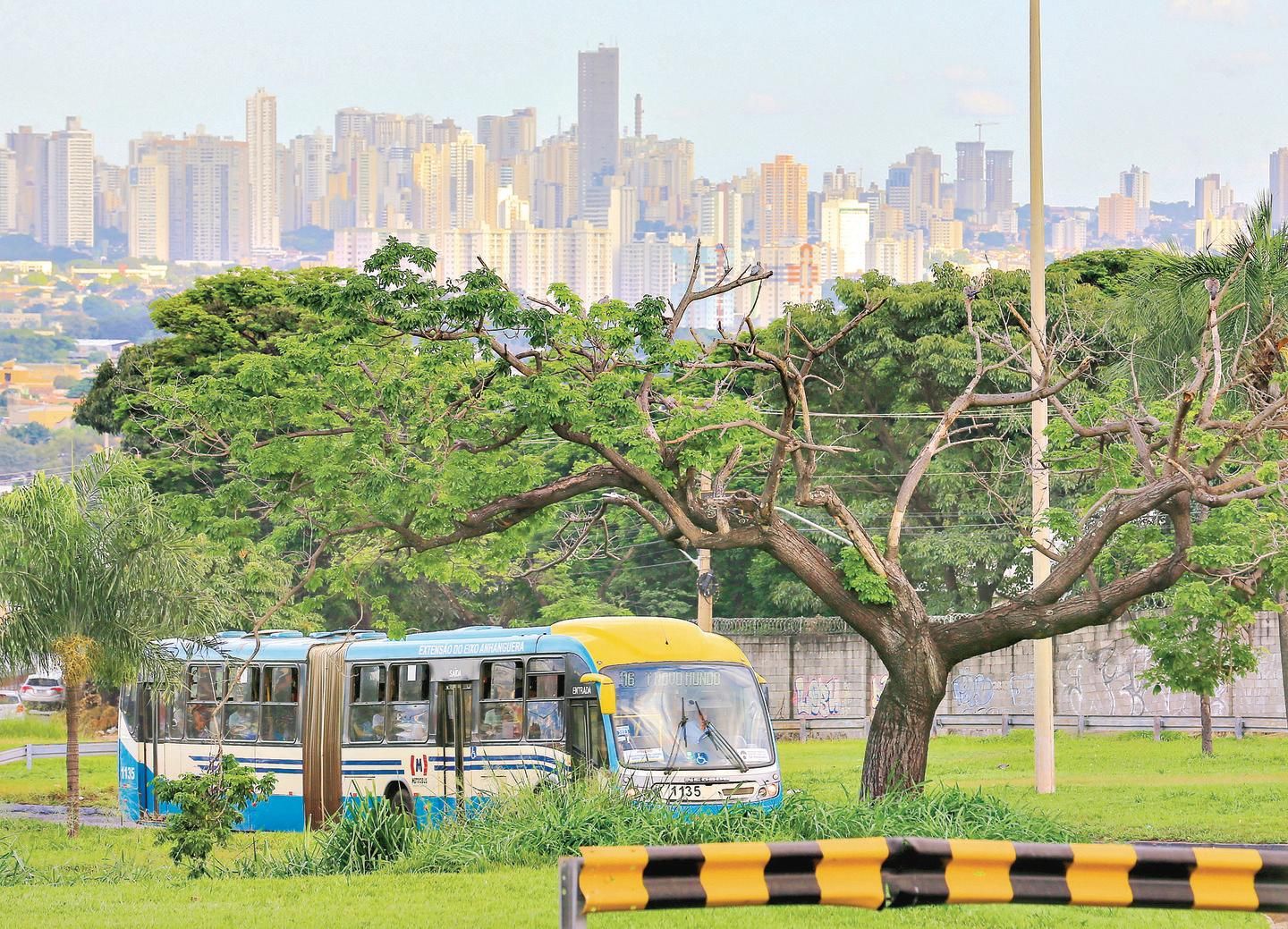 Operação no Eixão continuará com ônibus articulados e biarticulados 