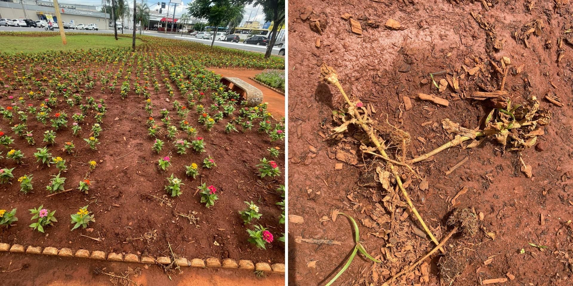 Dona de salão de beleza vandalizado por casal nu desabafa sobre prejuízos:  'Me deu desespero', Goiás