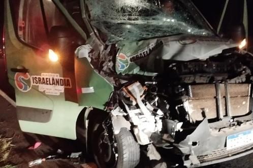 Ônibus atropela e mata três cavalos na Rodovia dos Minérios