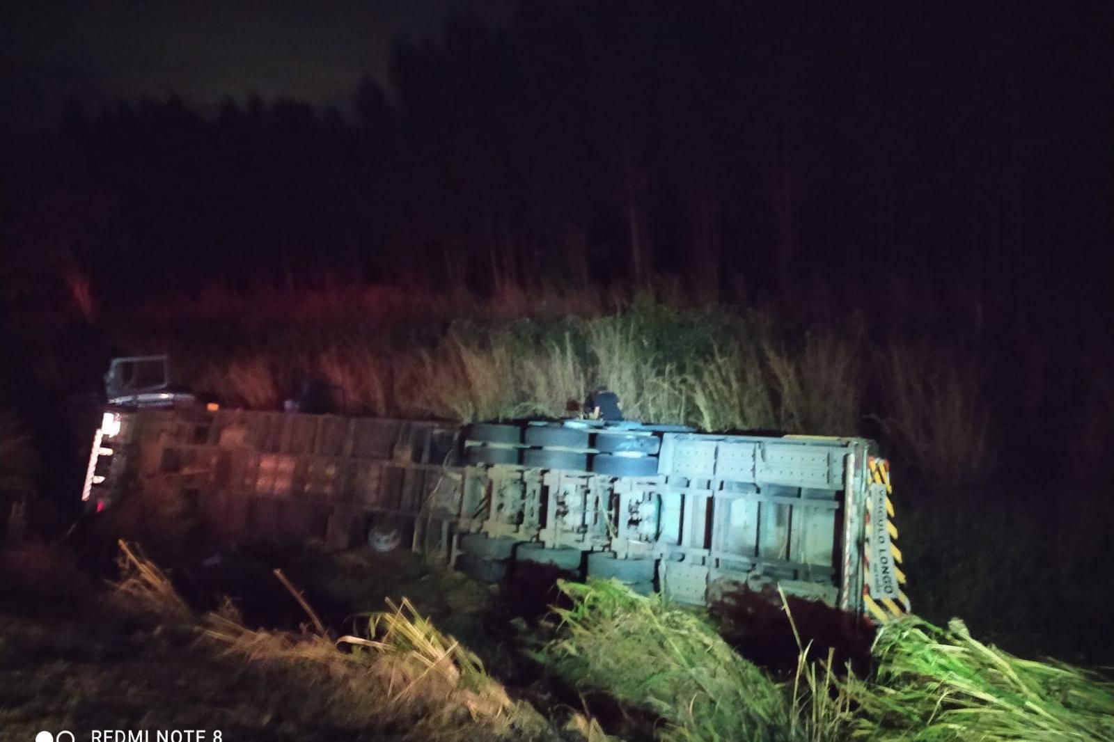 Temperaturas altas provocam a morte de cavalo que transportava