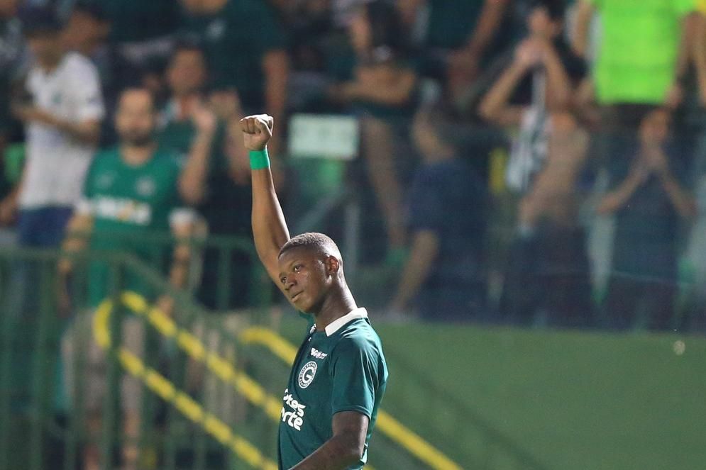 A um dia do fechamento da janela de transferências, Botafogo-SP anuncia 9º  reforço, botafogo-sp