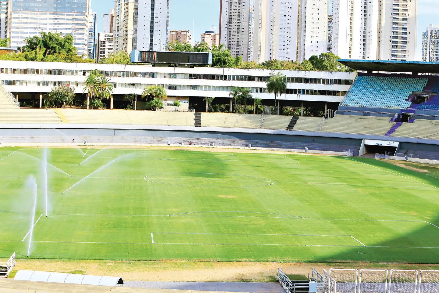 Fenômeno Free Fire, o futebol dos esportes eletrônicos - Lei em Campo