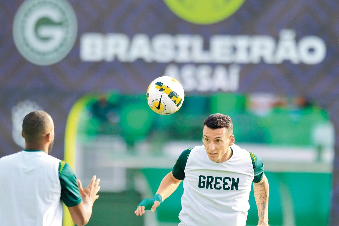 Palmeiras teve defesa vazada em todos os jogos em casa no Brasileirão