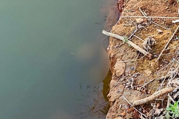 Afogamento em represa é causa de mais 1 morte em Aparecida de Goiânia