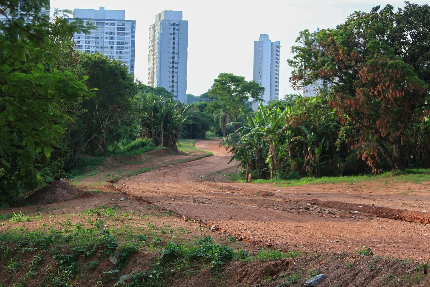 Ministério Público em Cascavel conta com número de WhatsApp para atendimento