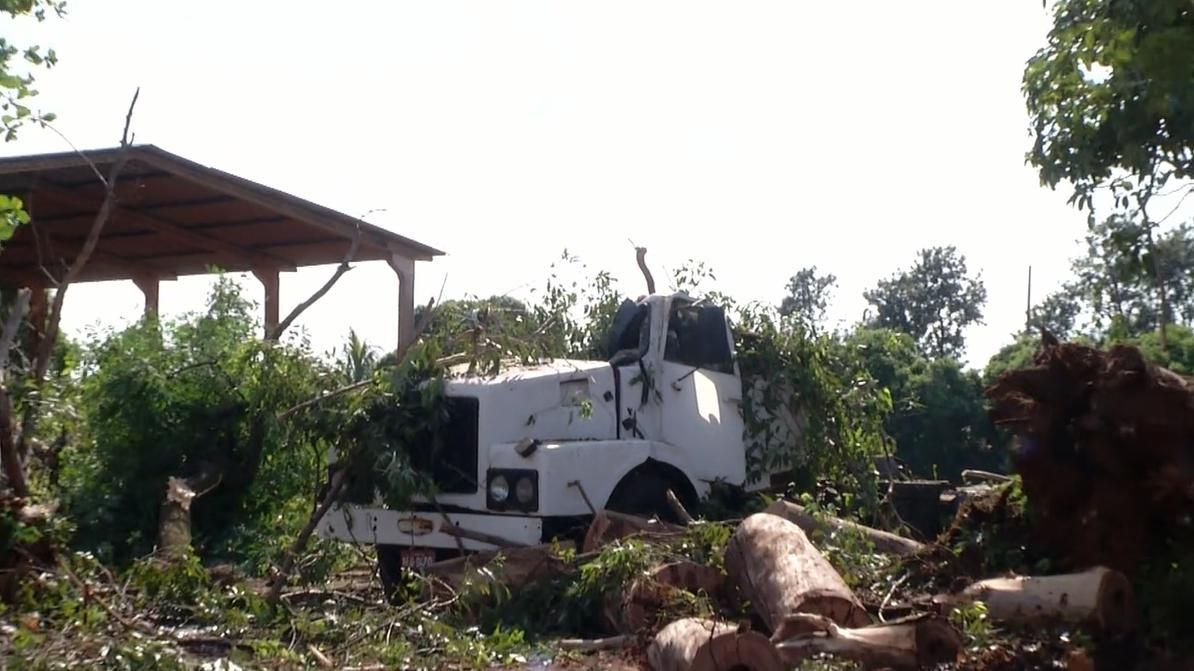 Após ultrapassagem, carro bate contra cavalo e mata passageira em Goiás