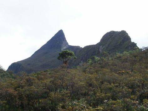 O que é Altitude? Picos Mais Altos do Brasil. Picos Mais Altos do Planeta.  Pico da Neblina. Pico 31 de Março. Pico …