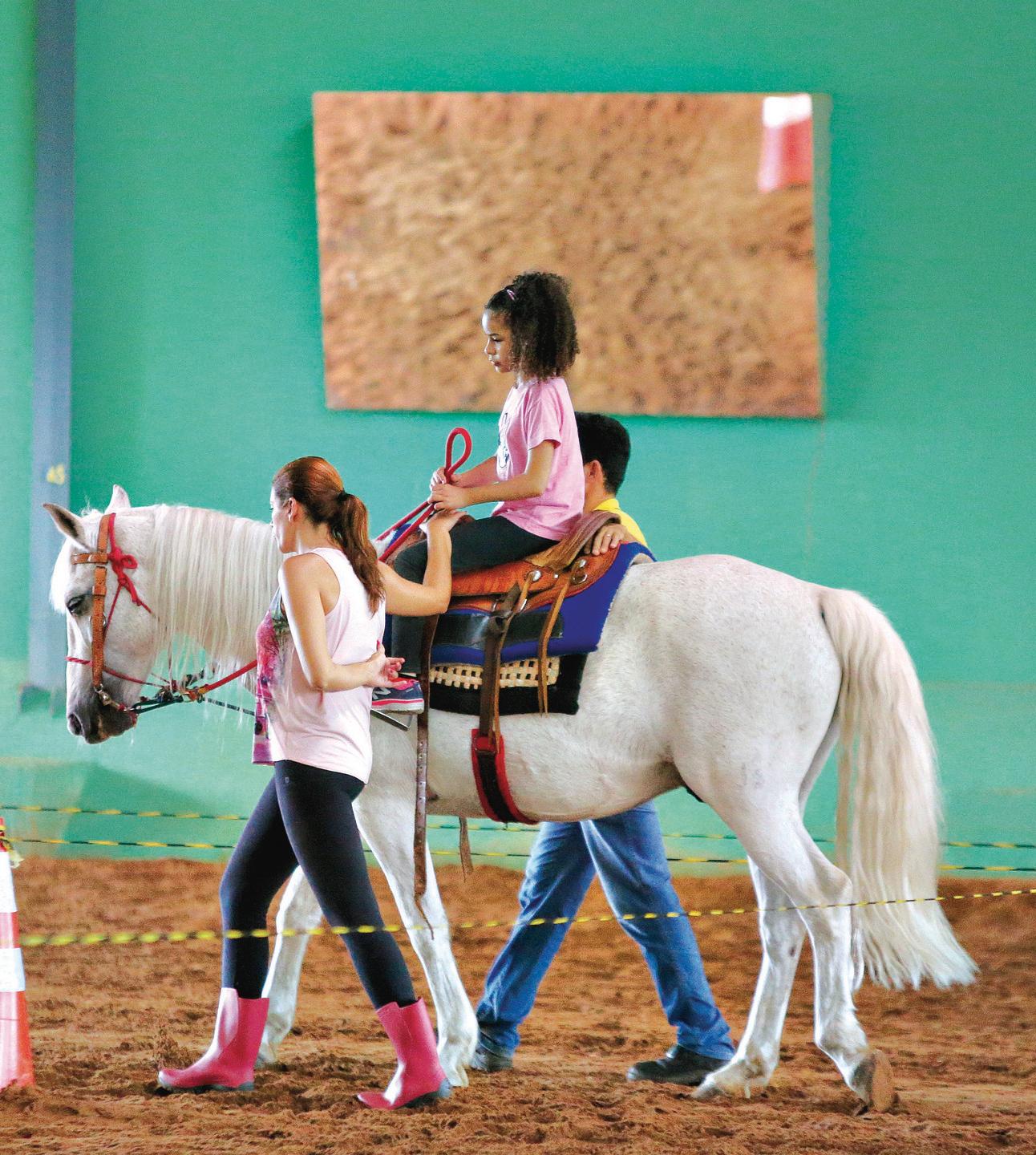 Três pessoas são presas por matar cavalo para comer em SC