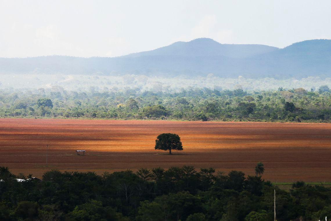 DF emite alerta para queimadas até o fim do período de seca na