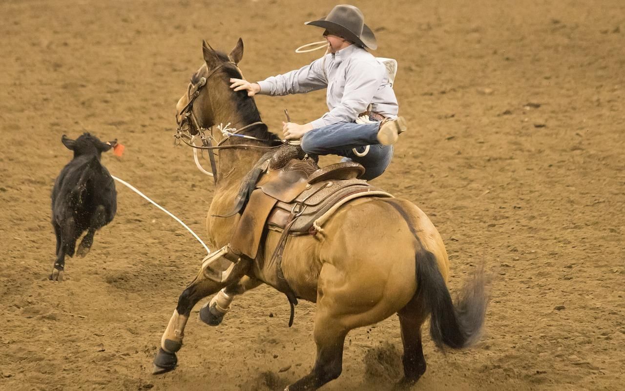 Como se tornar um ATLETA profissional de RODEIO? 