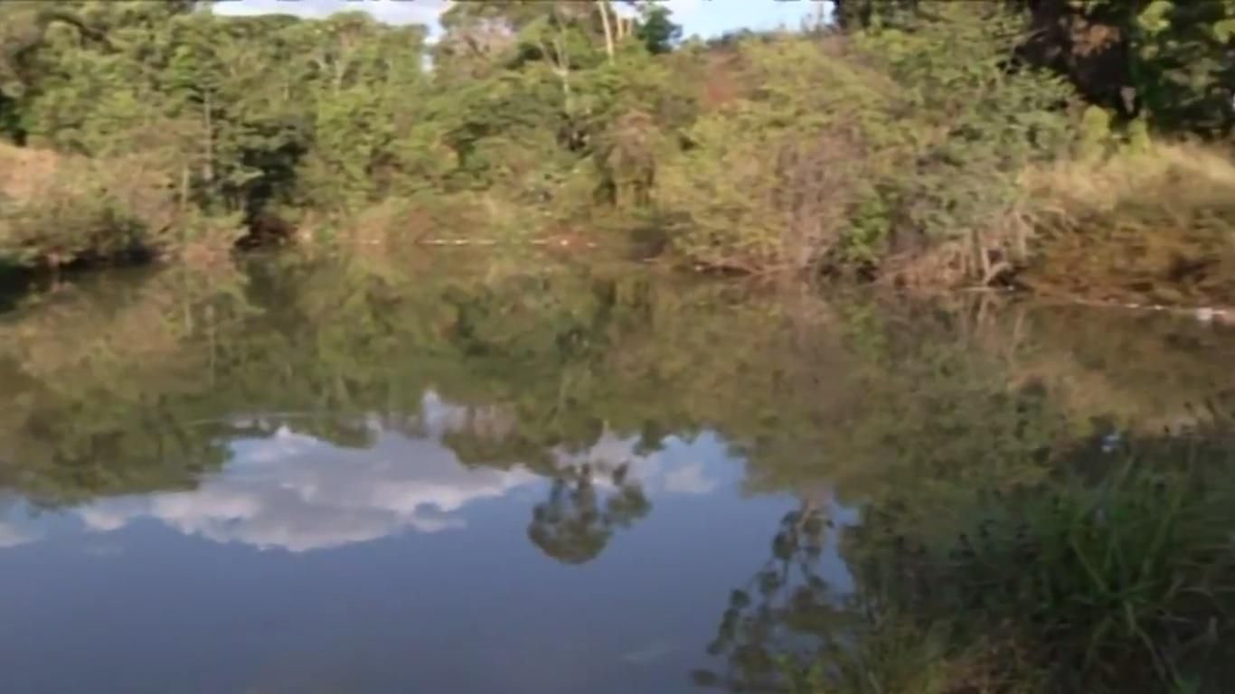 Bebê morre após se afogar em piscina enquanto a mãe estendia roupas, diz  Corpo de Bombeiros, Goiás