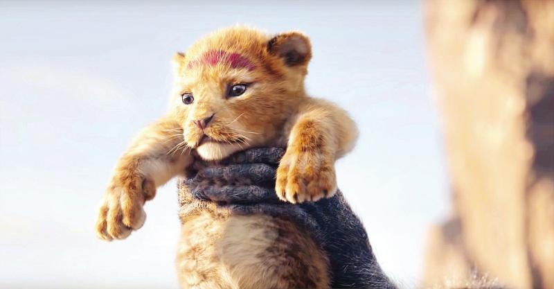 The Lion King – Ajude Simba nesta aventura digna do Rei das Selvas!