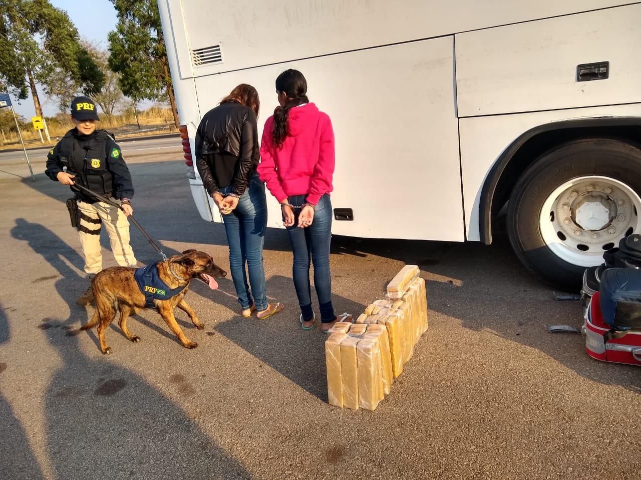 Passageira filma adolescentes usando drogas em ônibus da linha Campolim -  12/01/15 - SOROCABA E REGIÃO - Jornal Cruzeiro do Sul