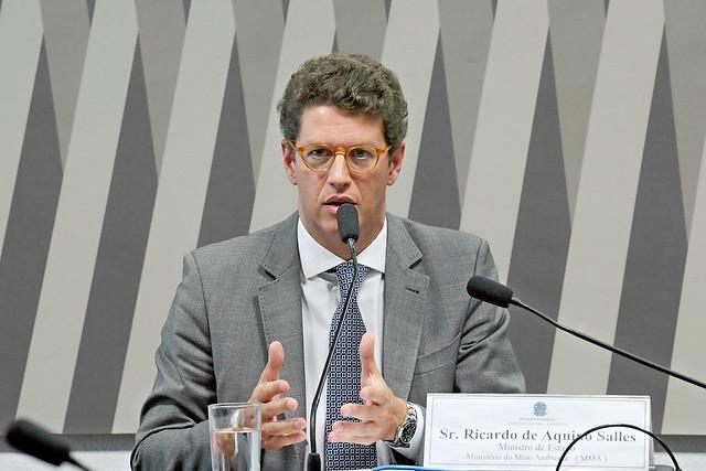 Ricardo Salles deve ser retirado imediatamente do Ministério de Meio  Ambiente - Greenpeace Brasil