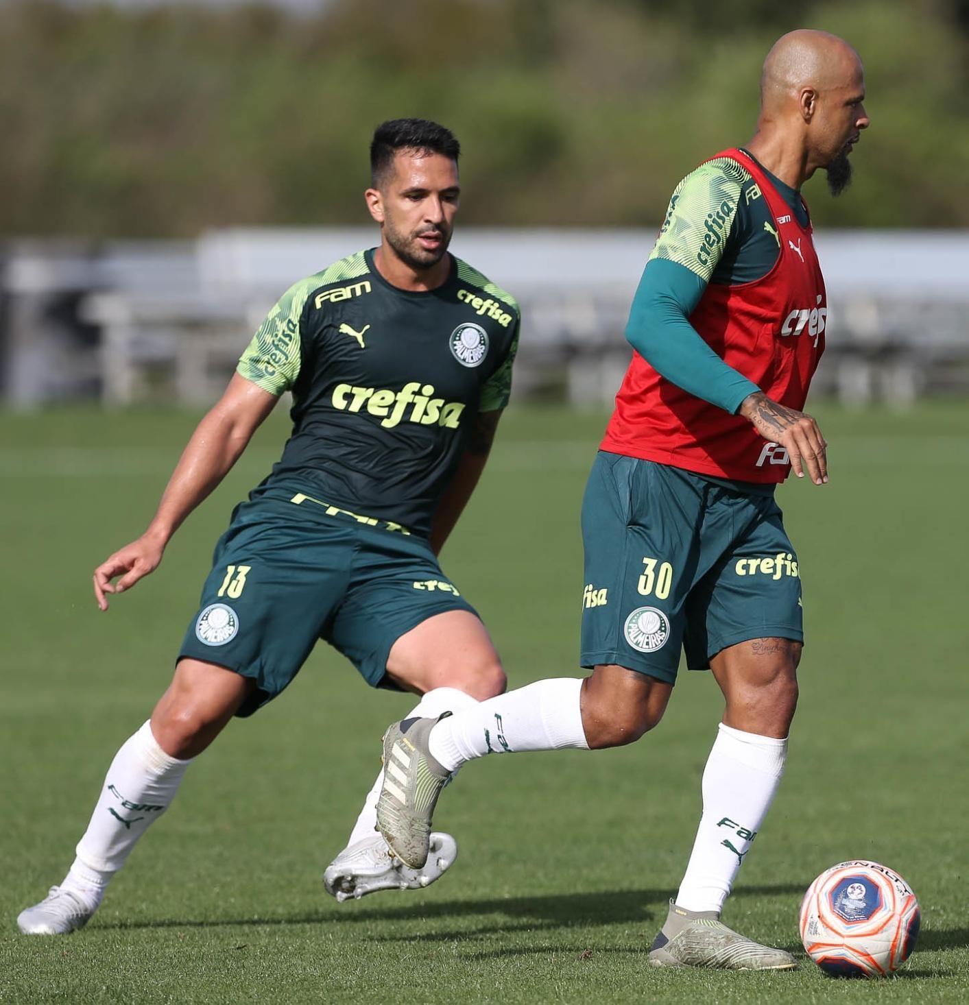 De olho na reformulação do Palmeiras, Sport busca ajuda de Luxemburgo para  reforçar a zaga, futebol