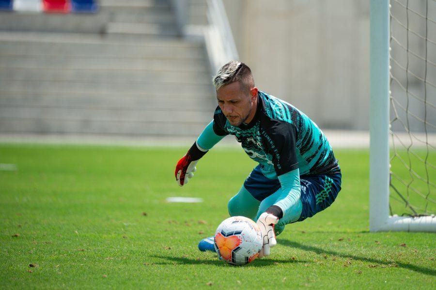 Em treinos e no WhatsApp, grupo do Palmeiras se fecha contra armadilha do  já ganhou, palmeiras