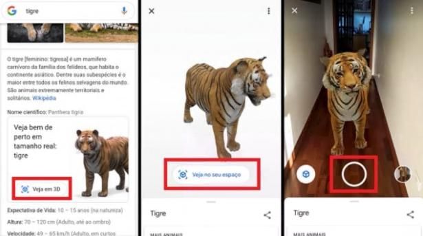Realidade aumentada do Google permite que você visualize animais em 3D