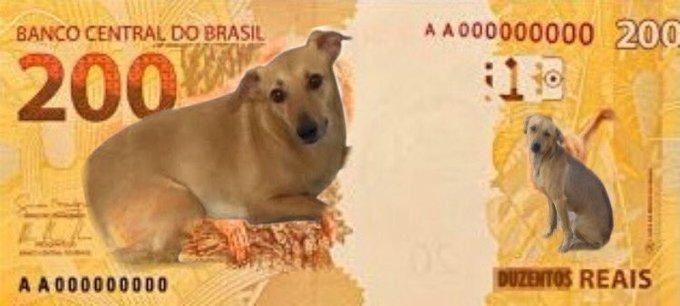 Lançada nota de R$ 200 reais com lobo-guará estampado na cédula