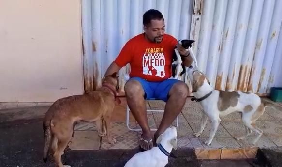 Cachorro é flagrado assistindo futebol sentado no sofá feito gente