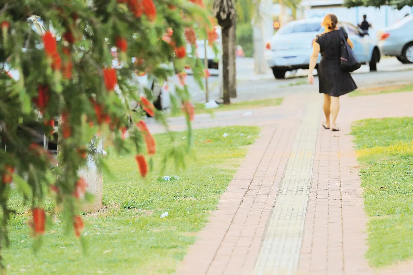 Carretas estacionadas de forma irregular geram insegurança para