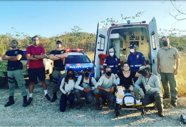 Gatinho aventureiro' viaja quase 300 km até o DF escondido em motor de  carro, Distrito Federal