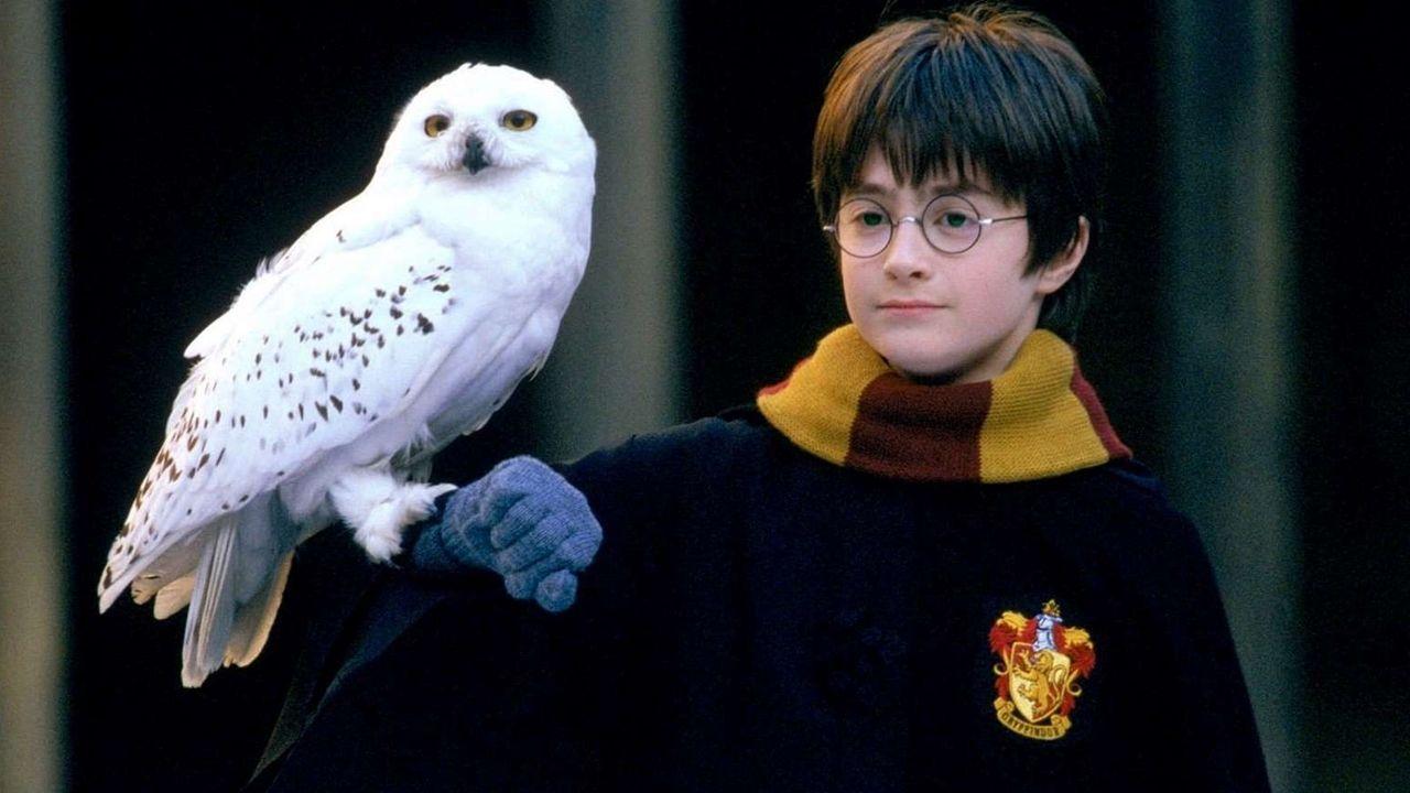 Harry Potter e a Pedra Filosofal filme - assistir