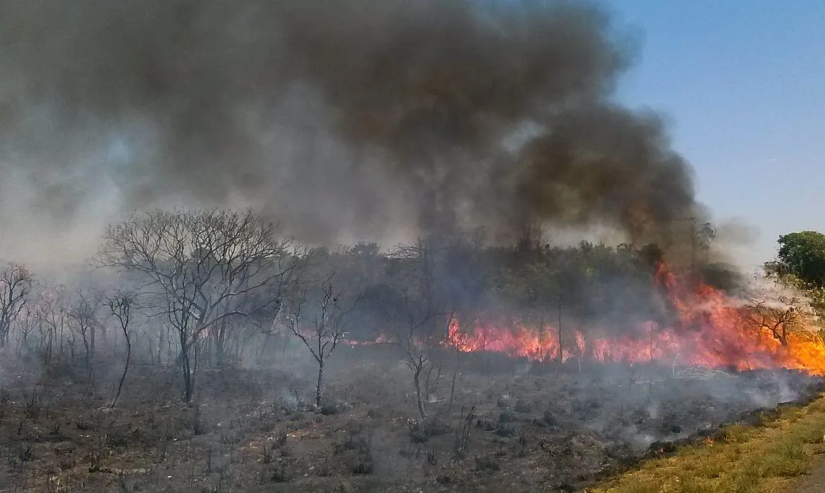 DF emite alerta para queimadas até o fim do período de seca na região