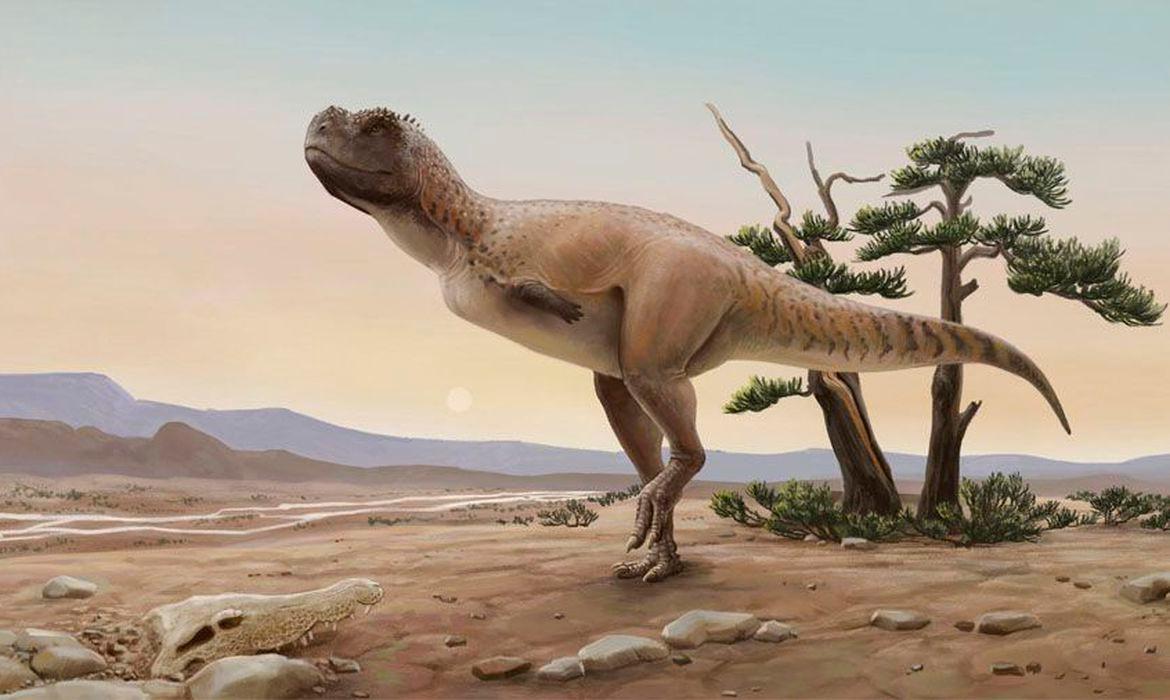 Descoberto novo dinossauro parecido com T-Rex; nome homenageia