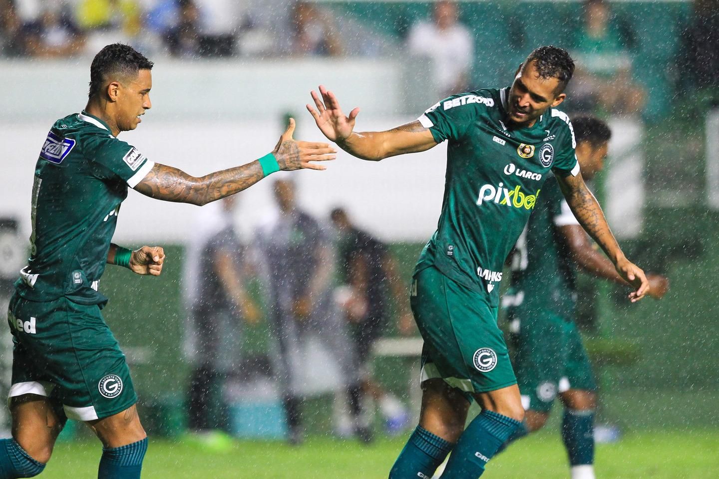 Goiás tem dois desfalques para jogo contra o Botafogo pelo Campeonato  Brasileiro - Fogo na Rede