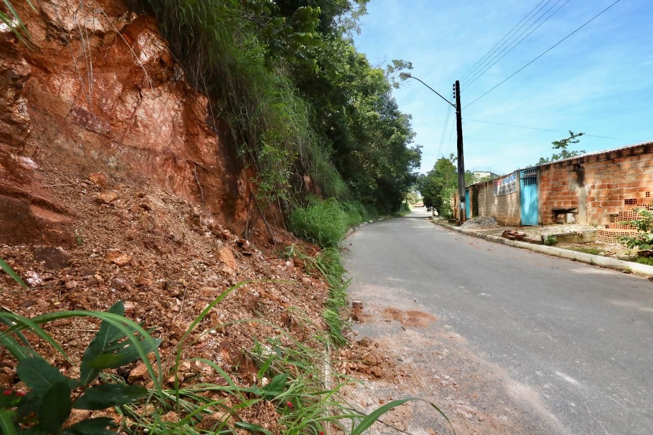 A vegetação pode prevenir um deslizamento de terra?