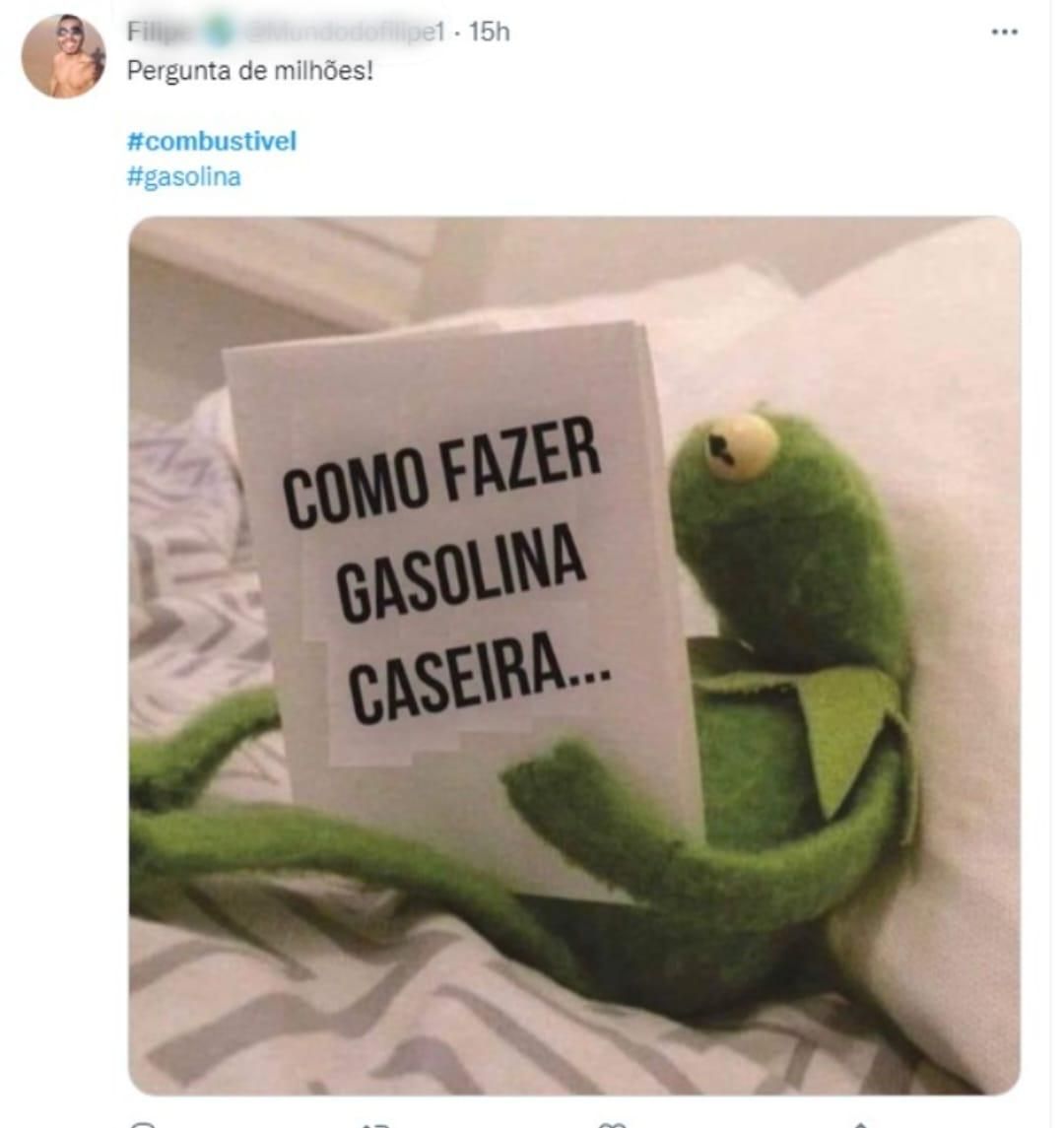 Cobra Naja de Brasília vira a queridinha da internet brasileira: veja os  melhores memes