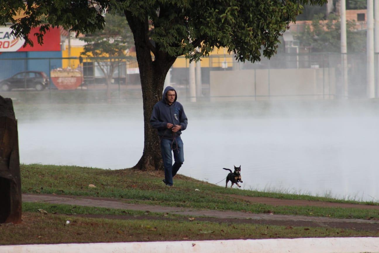 🐶🐱 Está - Secretaria Municipal da Saúde de São Paulo